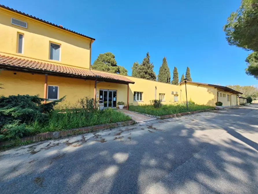 Immagine 3 di Attività commerciale in vendita  in Via delle Terme, 5, 60021 Aspio Terme AN, Italia a Camerano