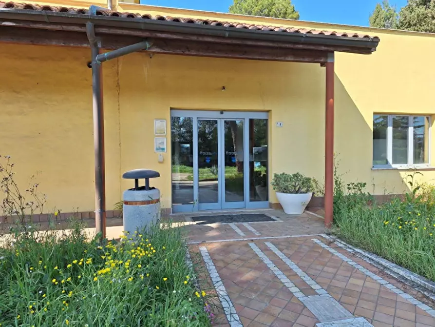 Immagine 4 di Attività commerciale in vendita  in Via delle Terme, 5, 60021 Aspio Terme AN, Italia a Camerano