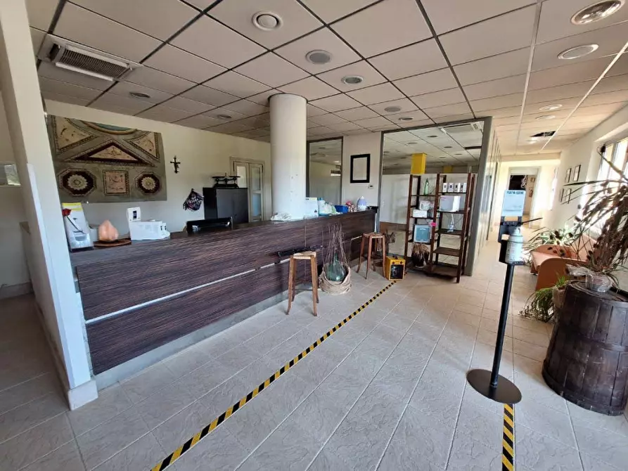 Immagine 5 di Attività commerciale in vendita  in Via delle Terme, 5, 60021 Aspio Terme AN, Italia a Camerano