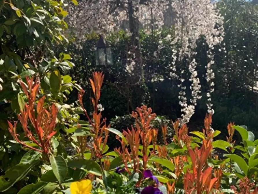 Immagine 20 di Villetta a schiera in vendita  in Via la familiare a Montevarchi