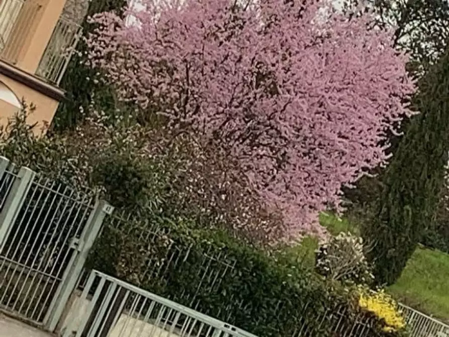 Immagine 21 di Villetta a schiera in vendita  in Via la familiare a Montevarchi