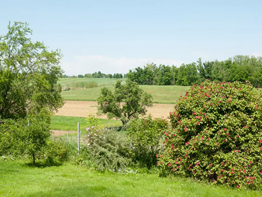 Immagine 14 di Rustico / casale in vendita  in Cascina Mistrone a Rosignano Monferrato