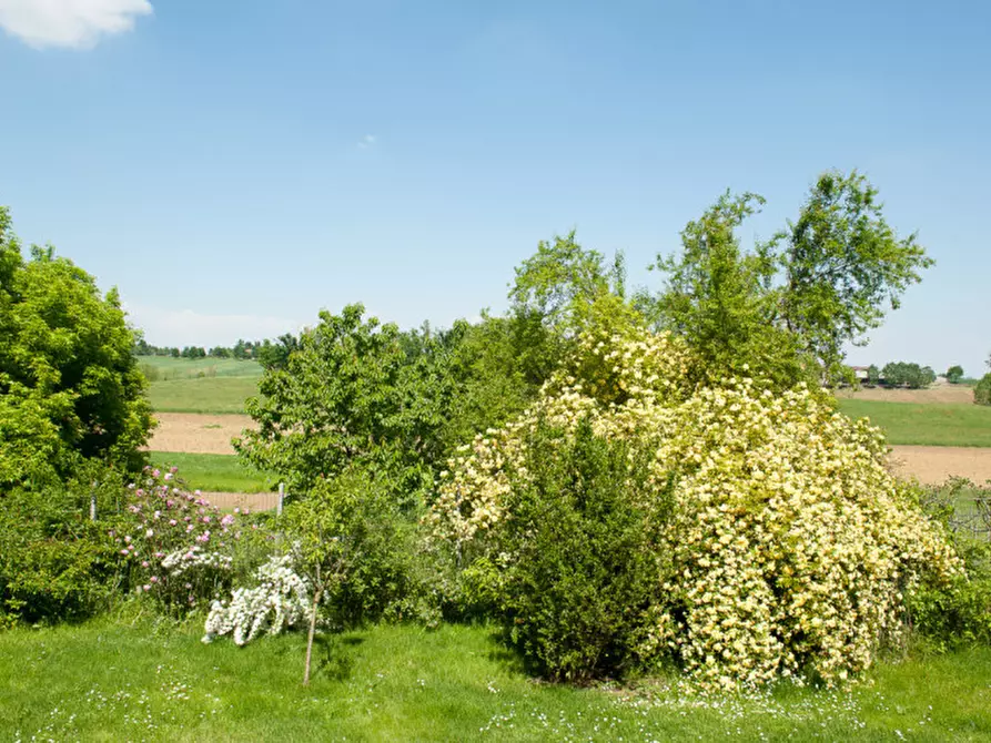 Immagine 15 di Rustico / casale in vendita  in Cascina Mistrone a Rosignano Monferrato