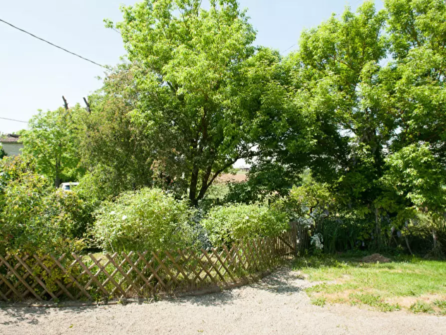 Immagine 17 di Rustico / casale in vendita  in Cascina Mistrone a Rosignano Monferrato