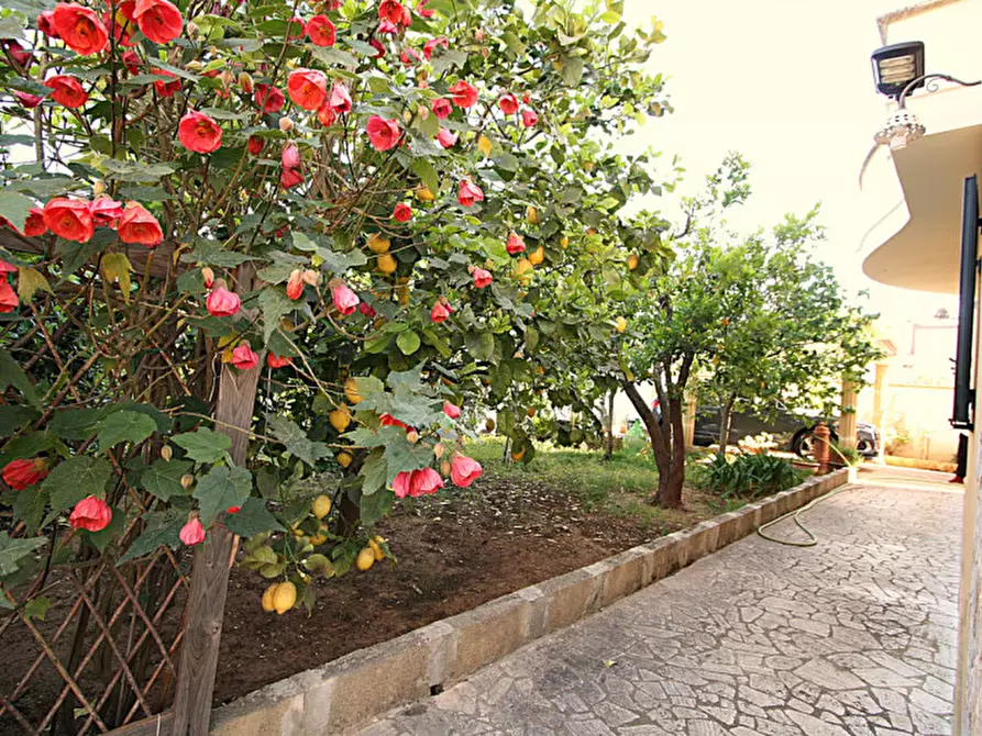 Immagine 12 di Villa in vendita  in SP Neviano a Tuglie