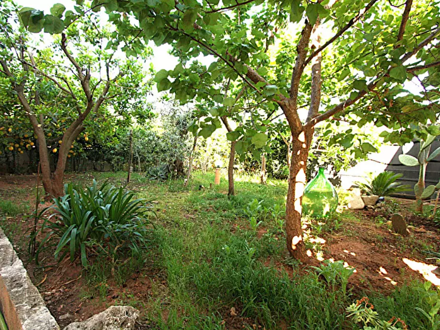 Immagine 14 di Villa in vendita  in SP Neviano a Tuglie