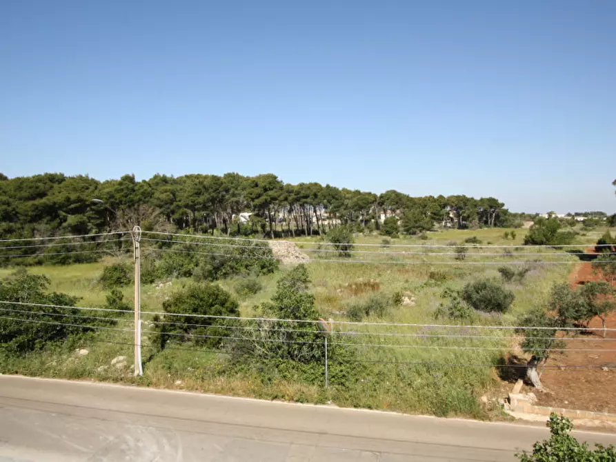 Immagine 25 di Villa in vendita  in SP Neviano a Tuglie