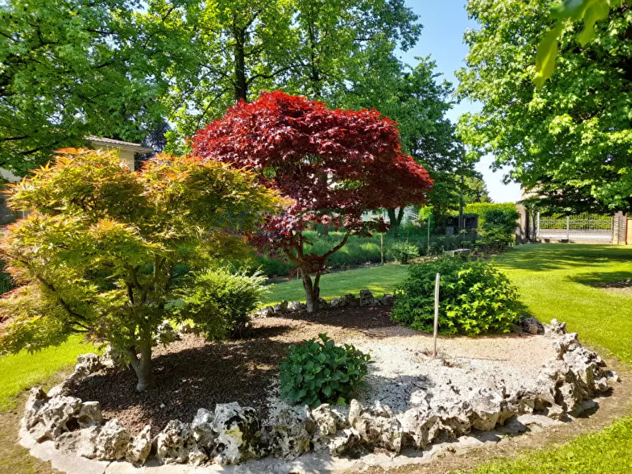 Immagine 3 di Casa trifamiliare in vendita  in Via Piave a Quinto Vicentino