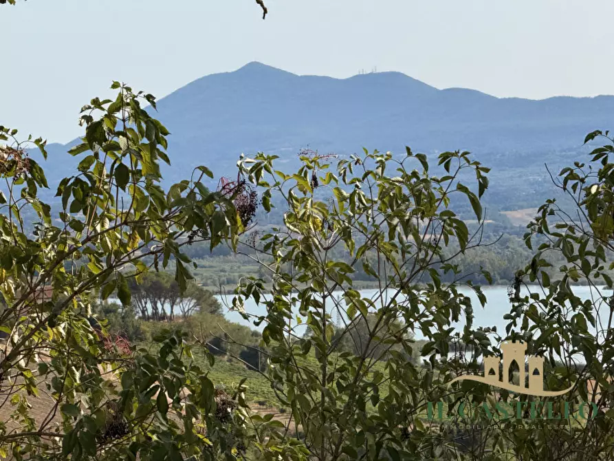 Immagine 21 di Rustico / casale in vendita  in Località Cozzano a Castiglione Del Lago