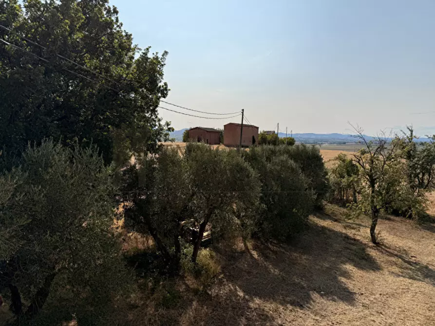 Immagine 14 di Rustico / casale in vendita  in Località Cozzano a Castiglione Del Lago