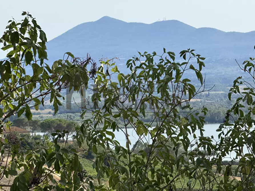 Immagine 16 di Rustico / casale in vendita  in Località Cozzano a Castiglione Del Lago