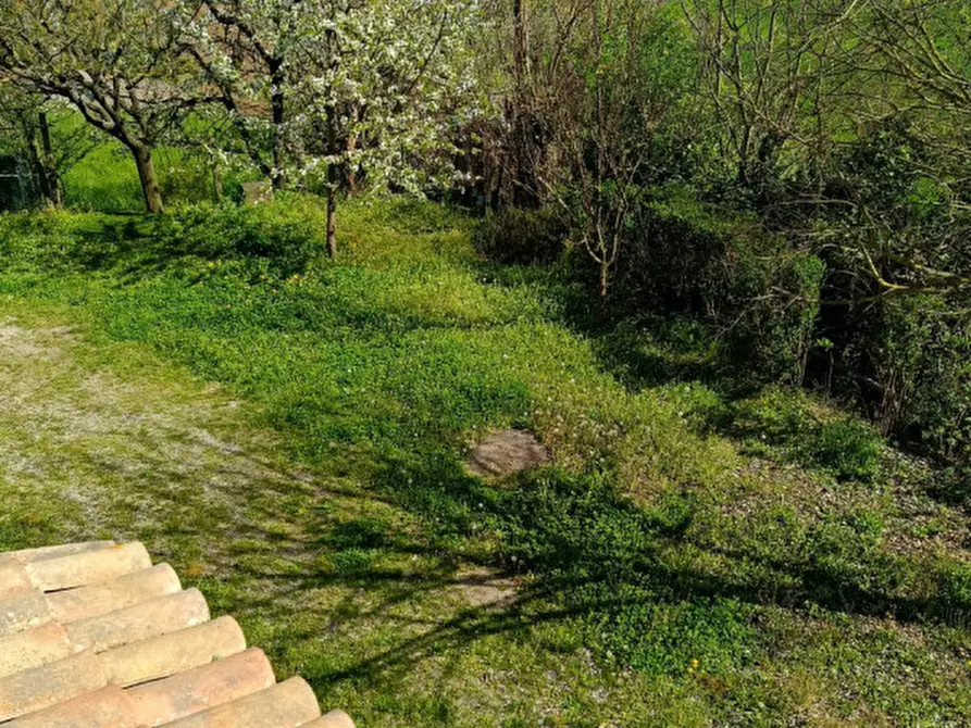 Immagine 12 di Casa indipendente in vendita  in Località Cascine Molino 37 a Ottiglio