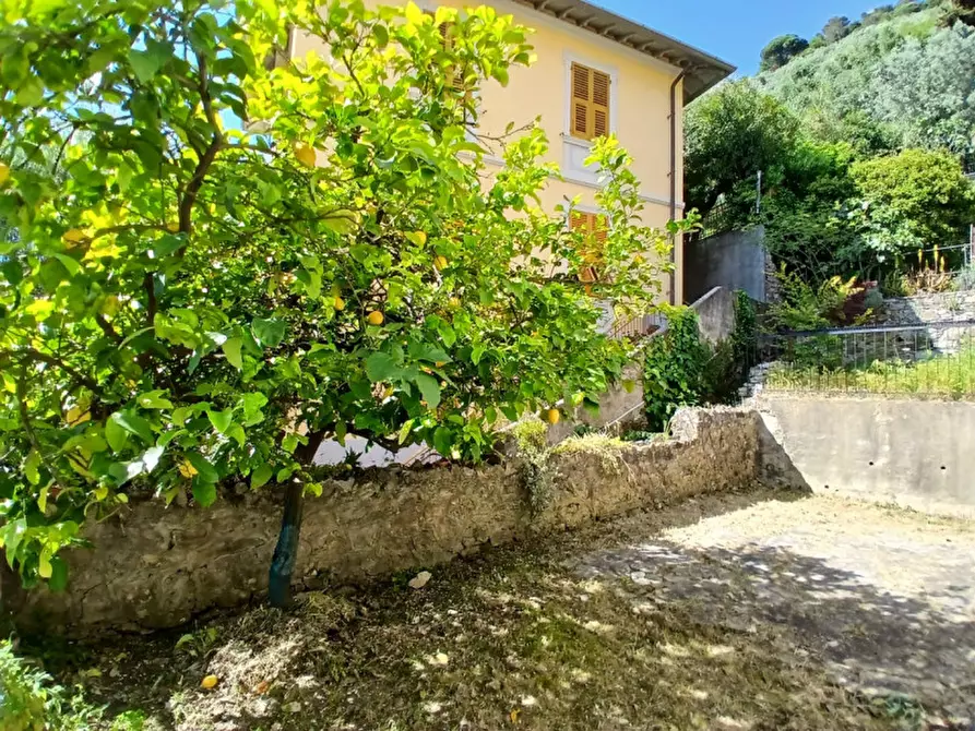 Immagine 3 di Appartamento in vendita  in Corso Giuseppe Mazzini a Camogli