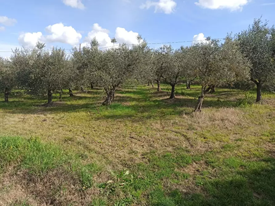 mansarda in vendita a Castiglione del Lago