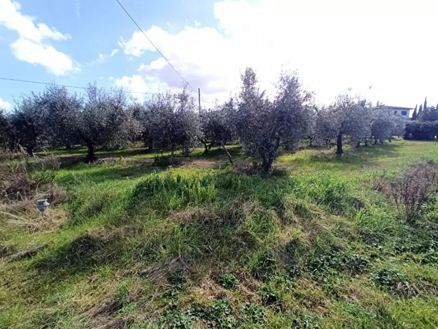 Immagine 5 di Terreno in vendita  in Sanfatucchio a Castiglione Del Lago