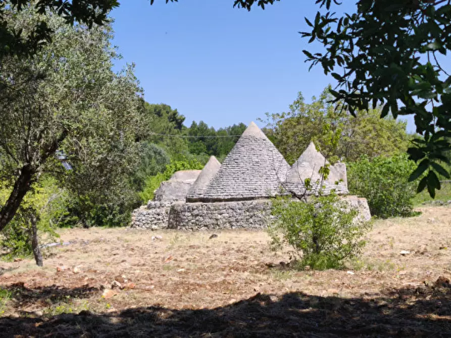 Immagine 3 di Rustico / casale in vendita  a Ceglie Messapico
