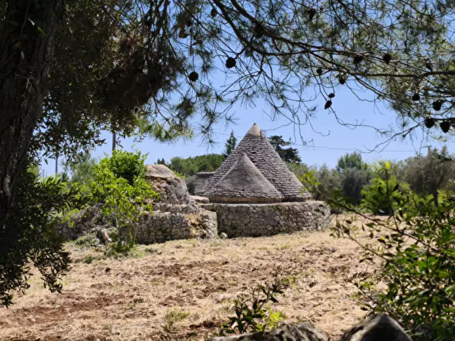 Immagine 5 di Rustico / casale in vendita  a Ceglie Messapico
