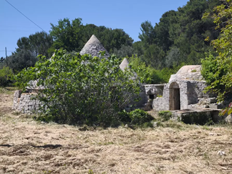 Immagine 6 di Rustico / casale in vendita  a Ceglie Messapico