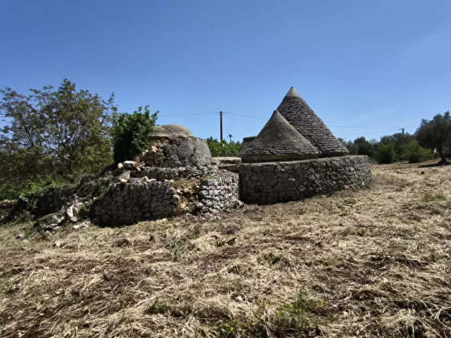 Immagine 7 di Rustico / casale in vendita  a Ceglie Messapico