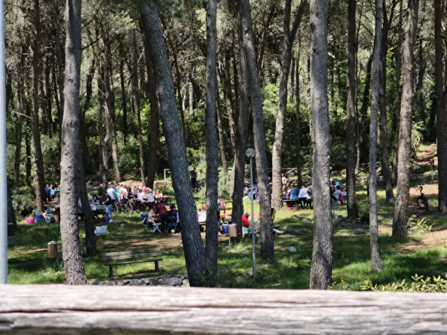 Immagine 20 di Rustico / casale in vendita  a Ceglie Messapico