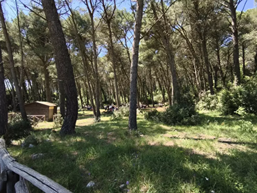 Immagine 21 di Rustico / casale in vendita  a Ceglie Messapico