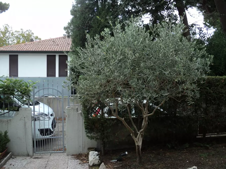 Immagine 10 di Casa bifamiliare in vendita  in Viale San Salvador 11 a Comacchio