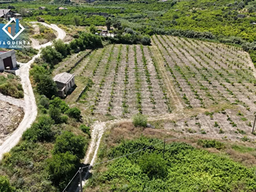 Immagine 1 di Terreno in vendita  in c.da Passo di noce snc a Palagonia