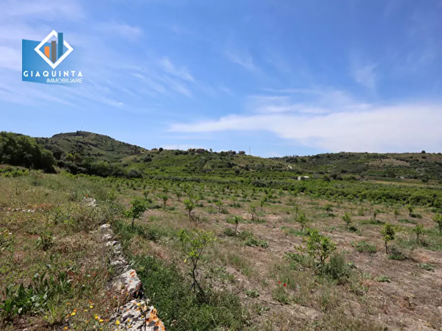 Immagine 2 di Terreno in vendita  in c.da Passo di noce snc a Palagonia