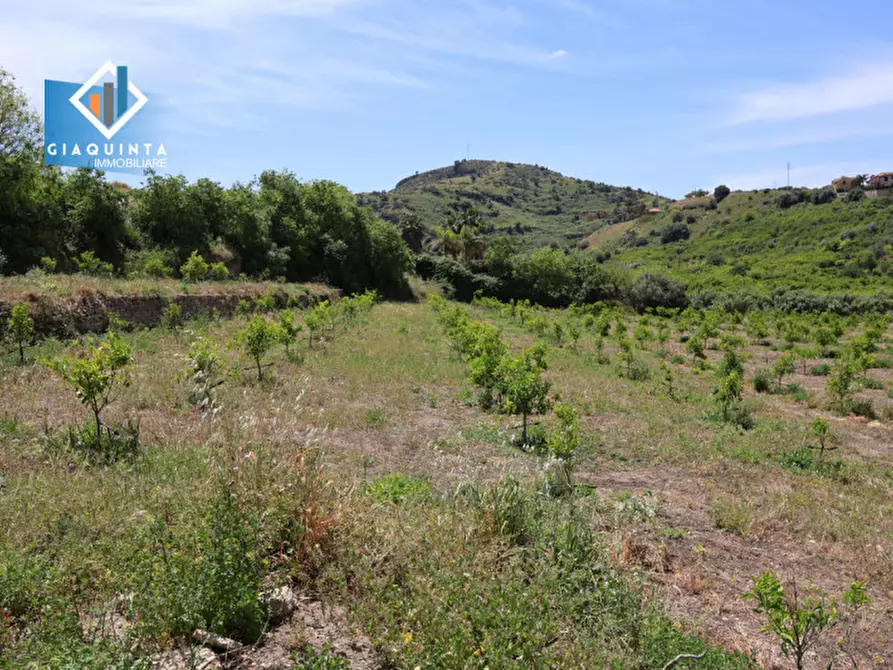 Immagine 5 di Terreno in vendita  in c.da Passo di noce snc a Palagonia