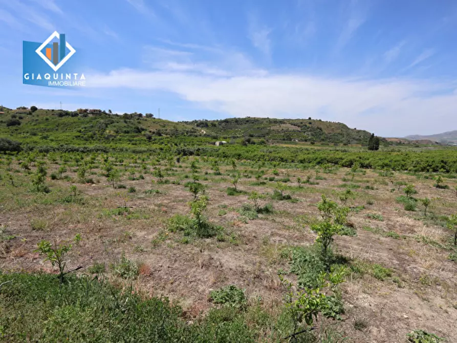 Immagine 6 di Terreno in vendita  in c.da Passo di noce snc a Palagonia