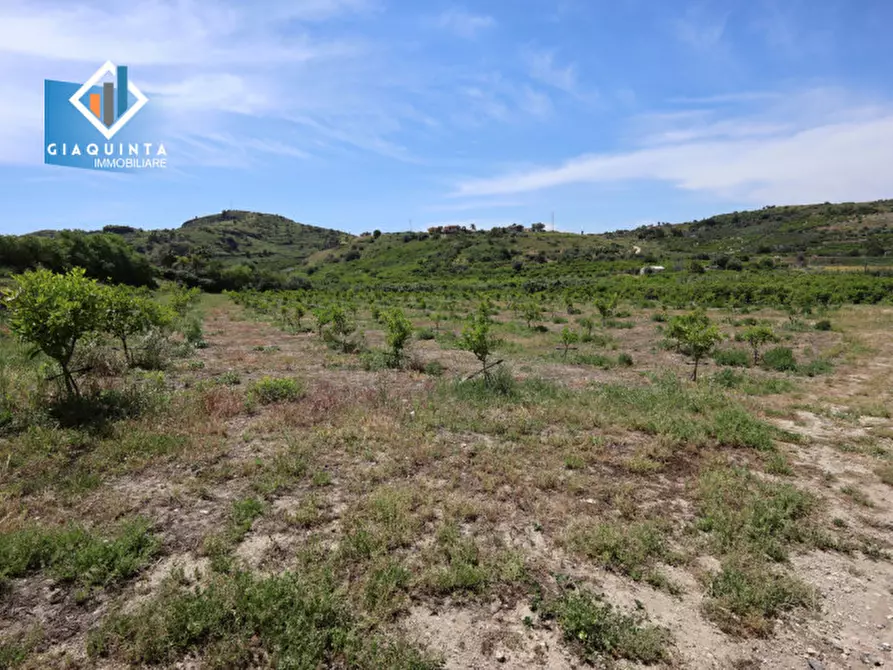 Immagine 8 di Terreno in vendita  in c.da Passo di noce snc a Palagonia