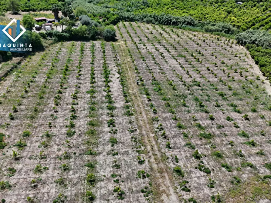 Immagine 9 di Terreno in vendita  in c.da Passo di noce snc a Palagonia