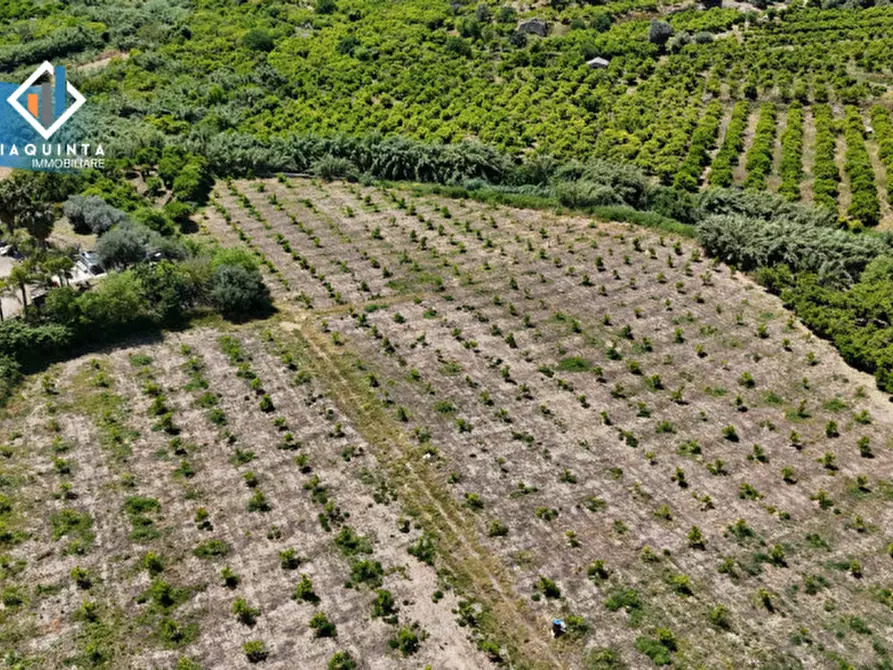 Immagine 10 di Terreno in vendita  in c.da Passo di noce snc a Palagonia
