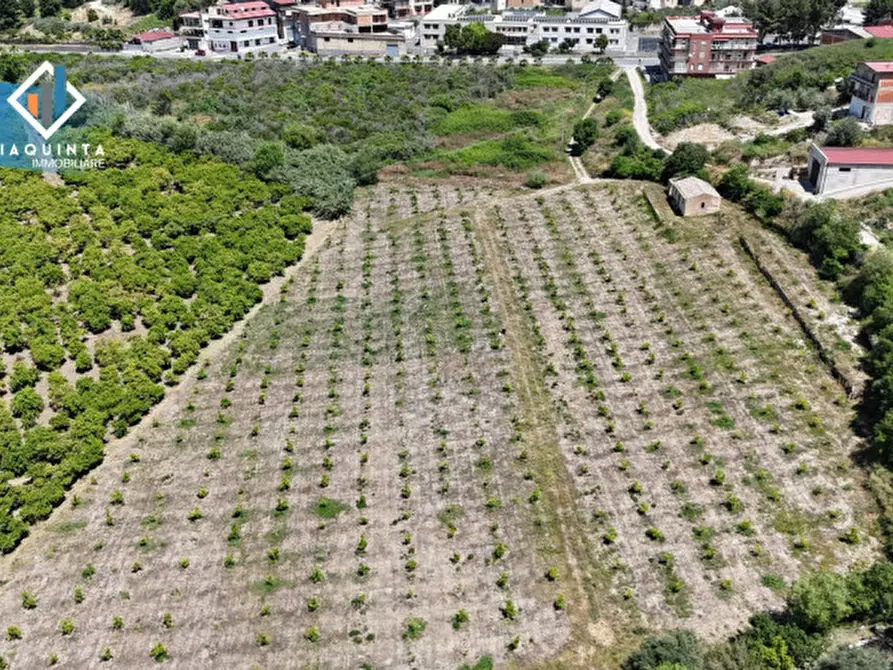 Immagine 12 di Terreno in vendita  in c.da Passo di noce snc a Palagonia