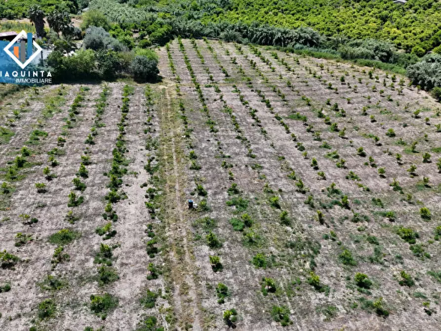 Immagine 13 di Terreno in vendita  in c.da Passo di noce snc a Palagonia