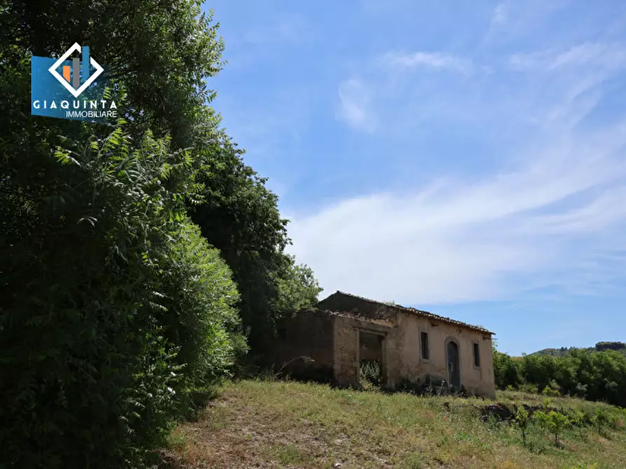 Immagine 15 di Terreno in vendita  in c.da Passo di noce snc a Palagonia