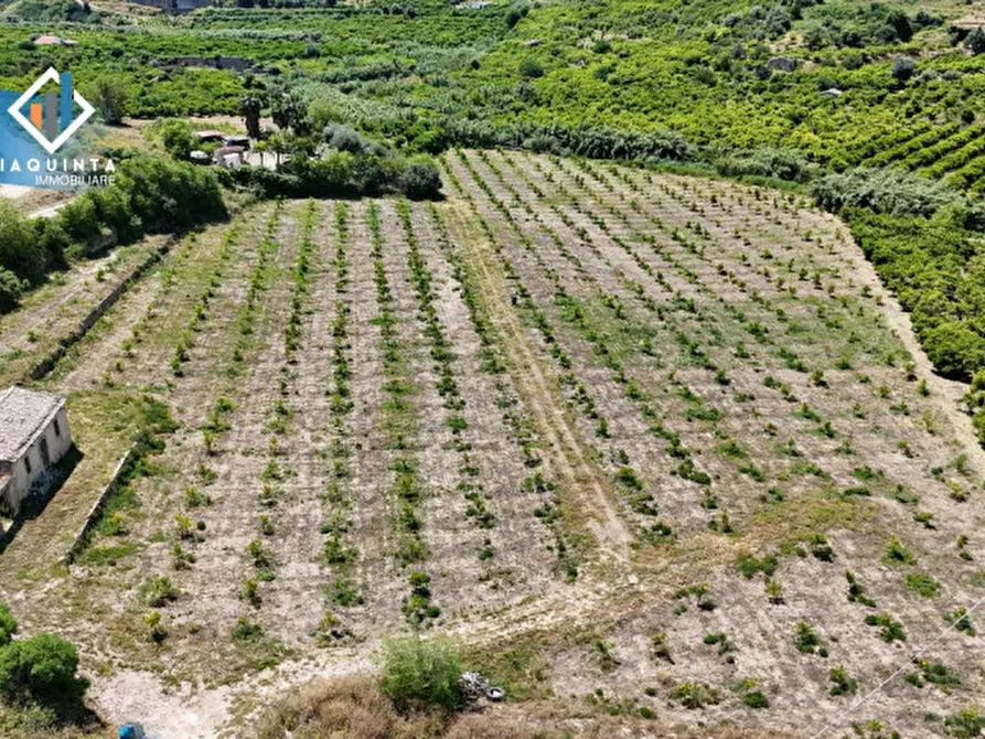 Immagine 16 di Terreno in vendita  in c.da Passo di noce snc a Palagonia