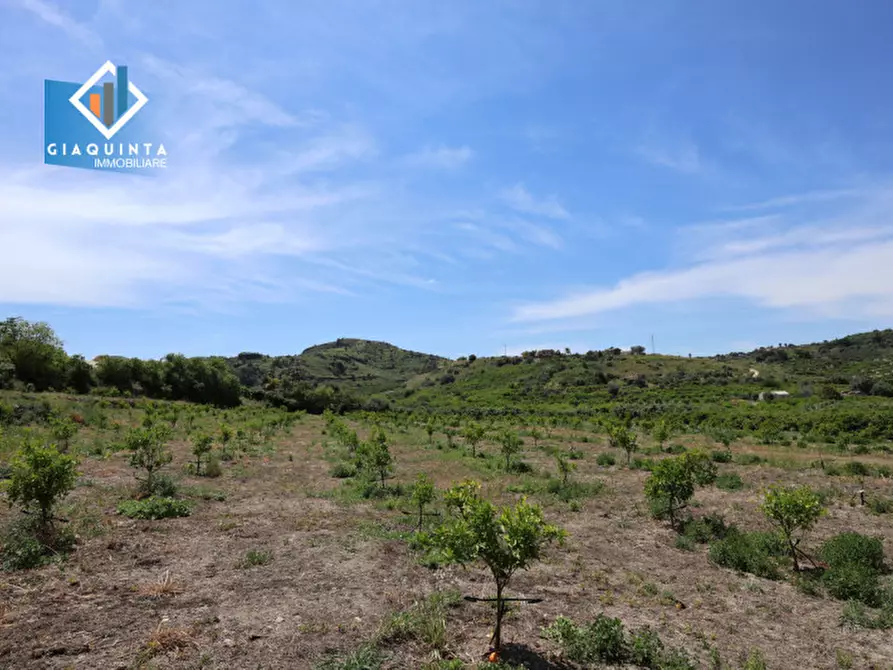 Immagine 17 di Terreno in vendita  in c.da Passo di noce snc a Palagonia