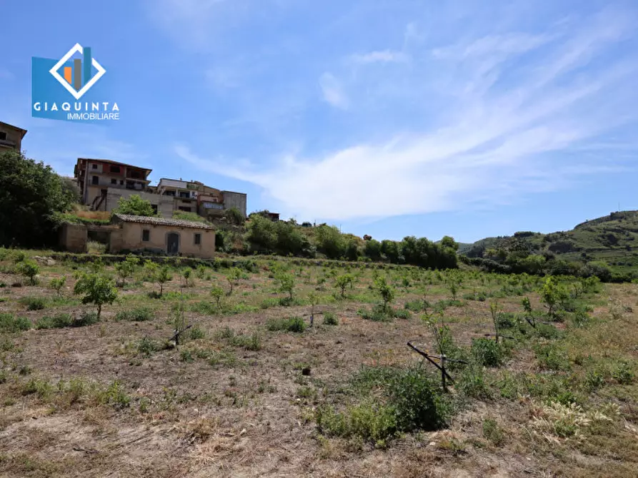 Immagine 18 di Terreno in vendita  in c.da Passo di noce snc a Palagonia