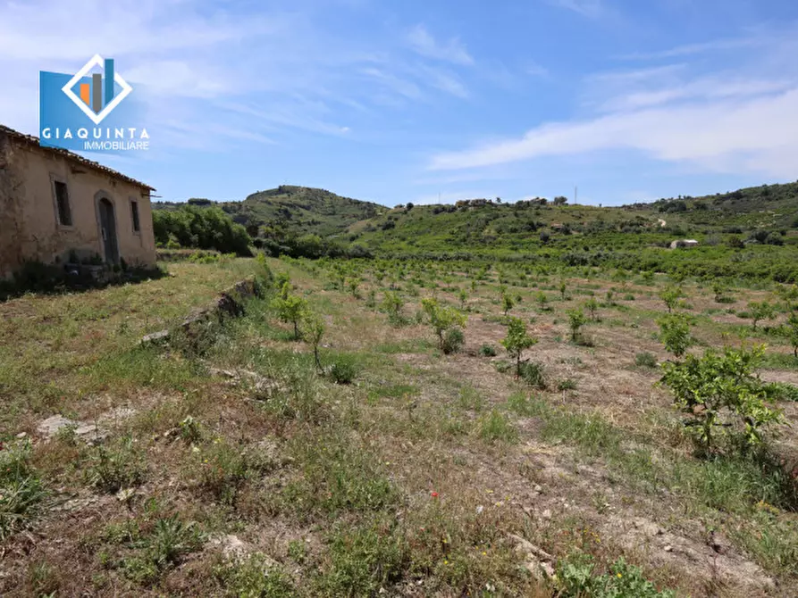 Immagine 19 di Terreno in vendita  in c.da Passo di noce snc a Palagonia