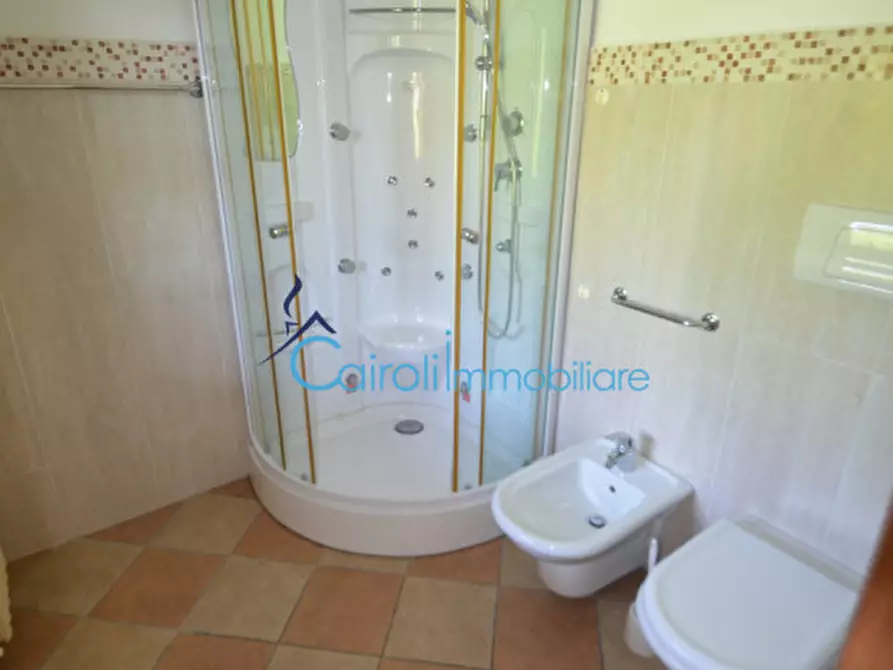 Immagine 12 di Appartamento in affitto  a Pavia