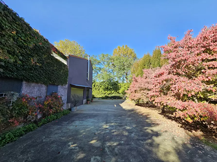 Immagine 24 di Casa bifamiliare in vendita  in VIA RAMPA a Monselice