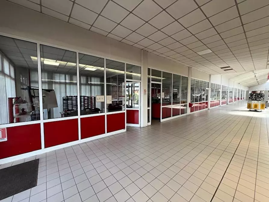 Immagine 3 di Capannone industriale in vendita  a Noventa Padovana