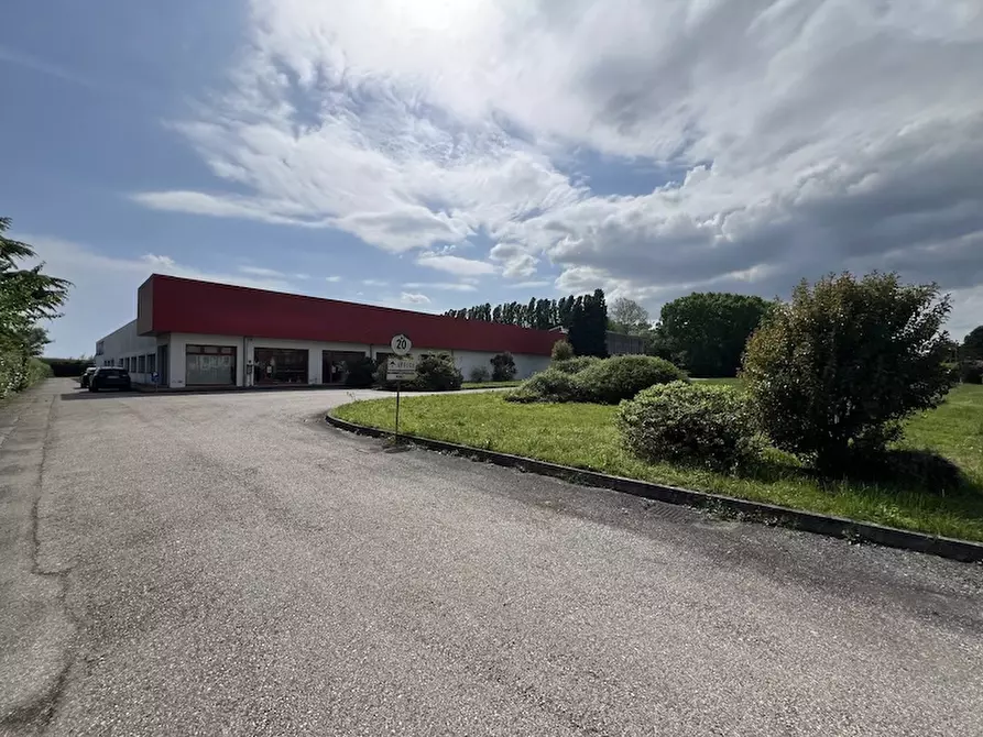 Immagine 10 di Capannone industriale in vendita  a Noventa Padovana