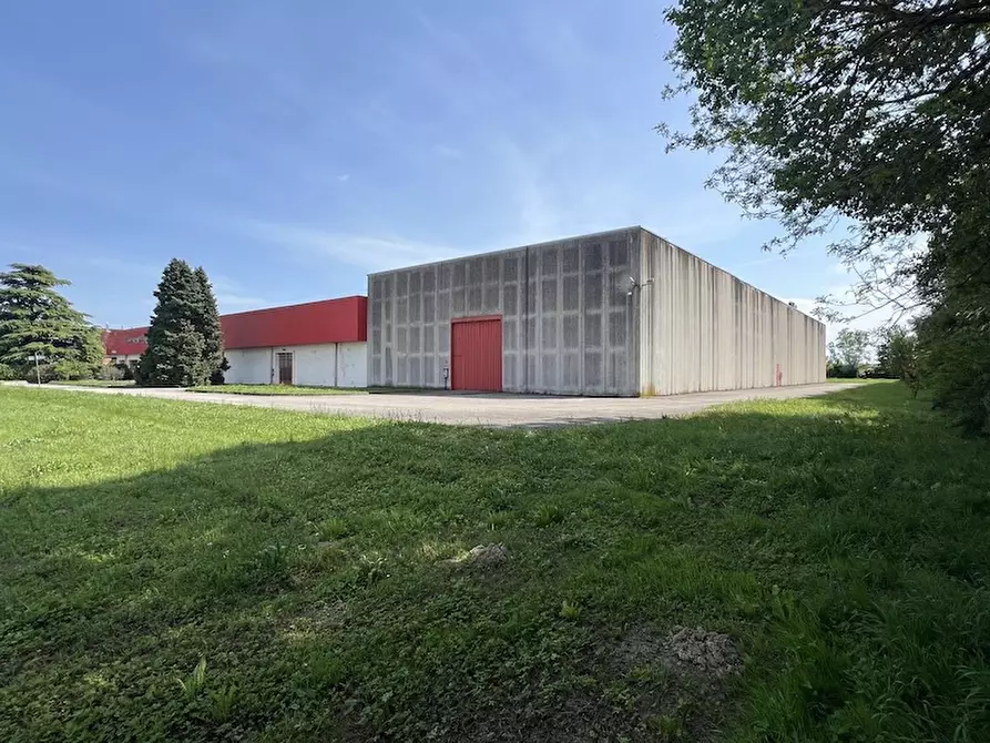 Immagine 13 di Capannone industriale in vendita  a Noventa Padovana