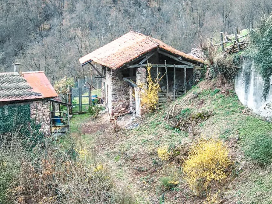 Immagine 2 di Rustico / casale in vendita  in Frazione Bertolotto a Grignasco