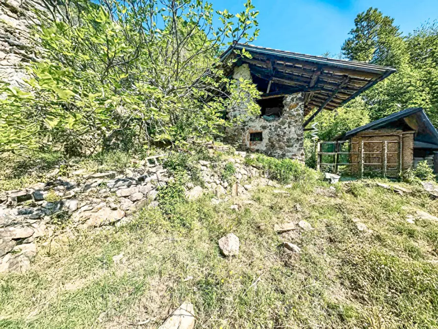 Immagine 4 di Rustico / casale in vendita  in Frazione Bertolotto a Grignasco