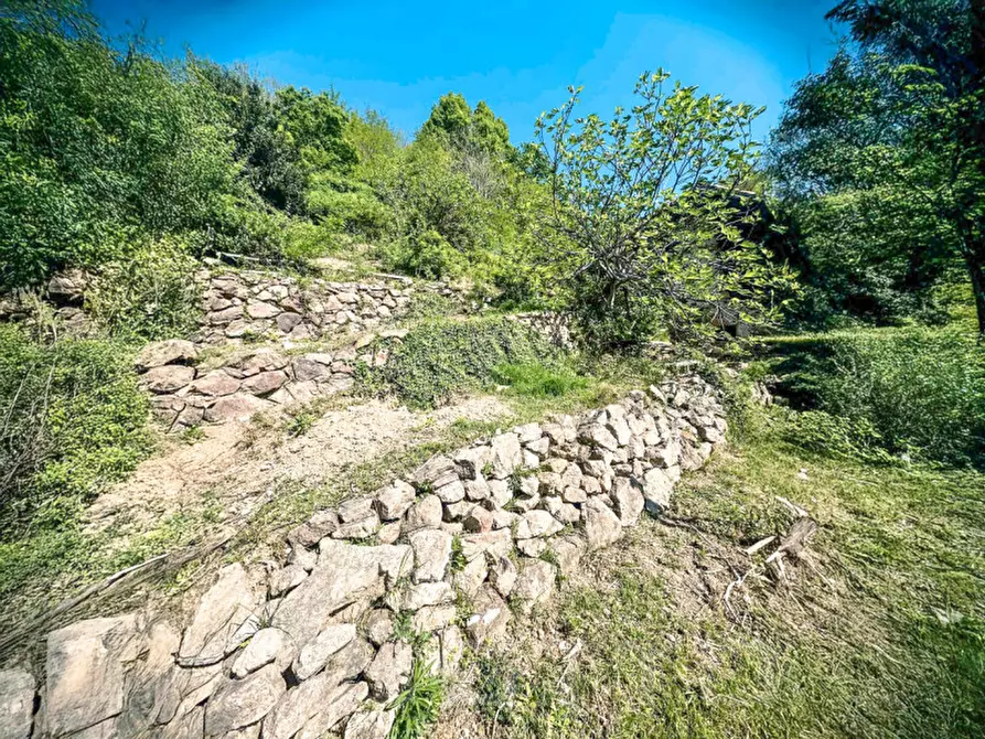 Immagine 6 di Rustico / casale in vendita  in Frazione Bertolotto a Grignasco