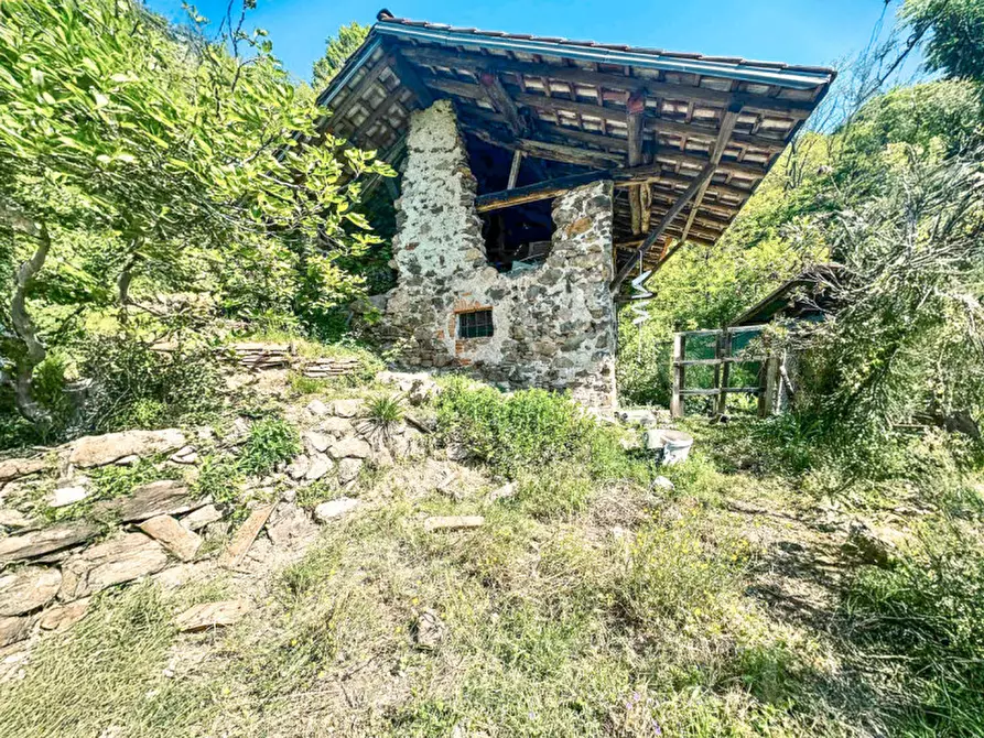 Immagine 7 di Rustico / casale in vendita  in Frazione Bertolotto a Grignasco