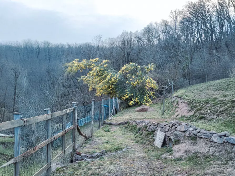 Immagine 9 di Rustico / casale in vendita  in Frazione Bertolotto a Grignasco